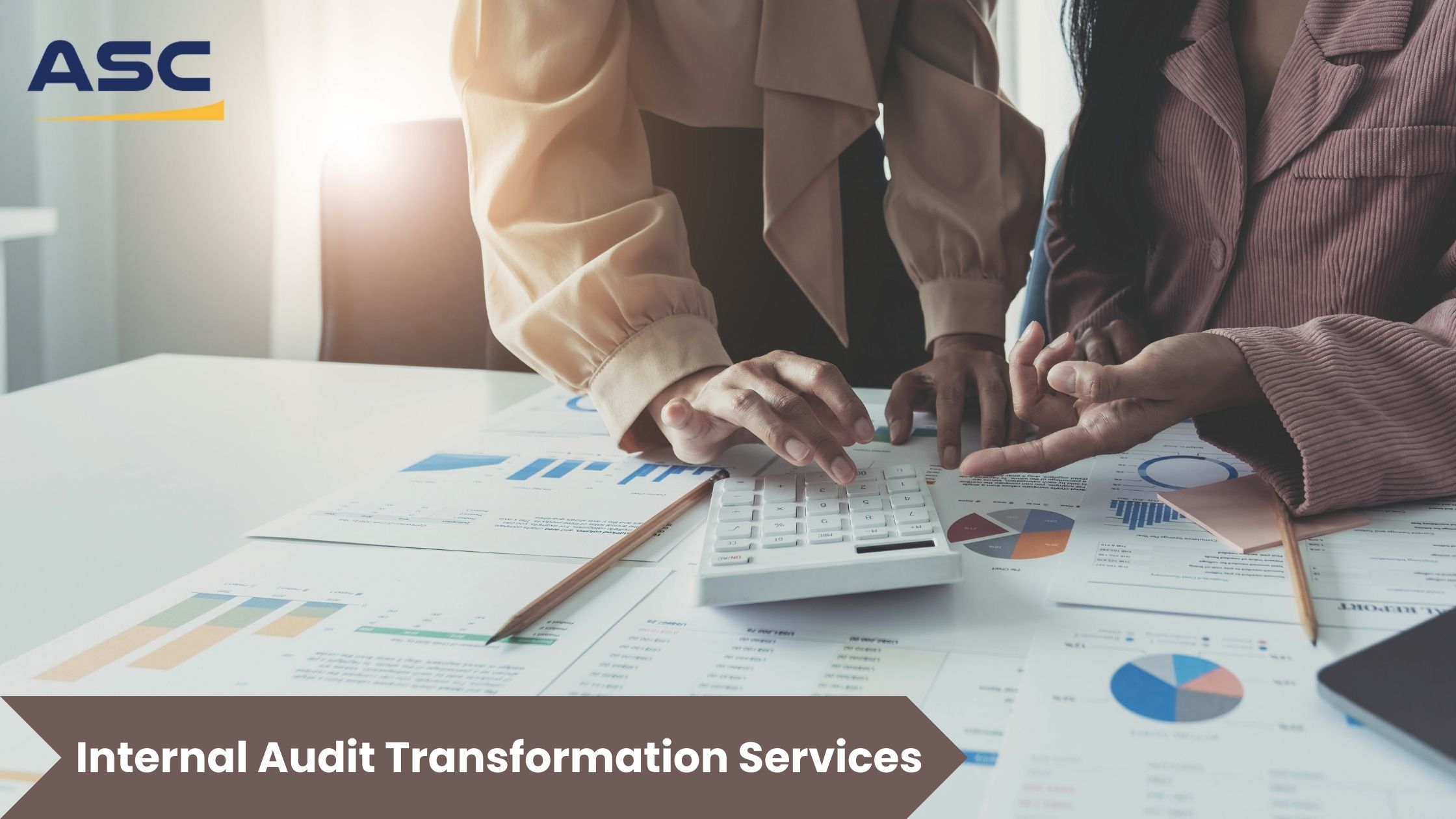 Internal Audit Transformation Service